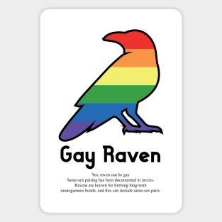 Gay Raven G8b - Can animals be gay series - meme gift t-shirt Magnet